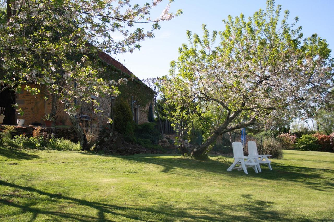La Vieille Ferme: Superbe Complexe De 3 Gites En Pierre Avec Piscine Au Coeur Du Perigord Noir Saint-Genies Eksteriør billede