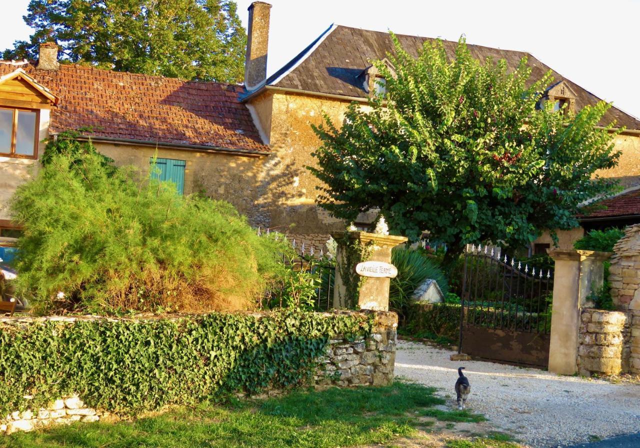 La Vieille Ferme: Superbe Complexe De 3 Gites En Pierre Avec Piscine Au Coeur Du Perigord Noir Saint-Genies Eksteriør billede